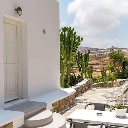 Afroditi Ftelia Anemone Σπίτι διακοπών Πάνορμος Μυκόνου